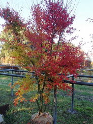 ○○○○○○○○イメージ